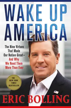 wake up america book cover image