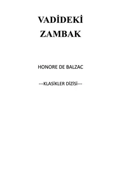 vadideki zambak book cover image