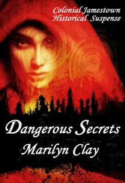 dangerous secrets book cover image