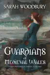 Guardians of Medieval Wales reviews