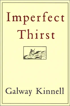 imperfect thirst book cover image