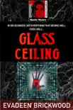 Glass Ceiling synopsis, comments