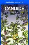 Summary of Candide by Voltaire synopsis, comments