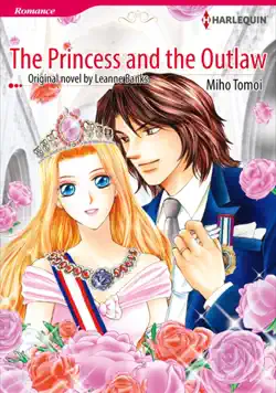 the princess and the outlaw book cover image