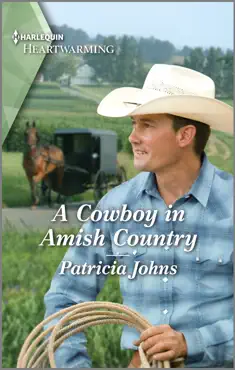 a cowboy in amish country book cover image