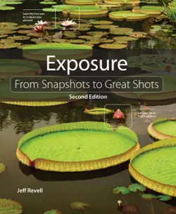 exposure book cover image