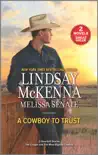 A Cowboy to Trust synopsis, comments