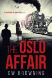 The Oslo Affair synopsis, comments