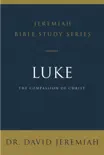 Luke synopsis, comments