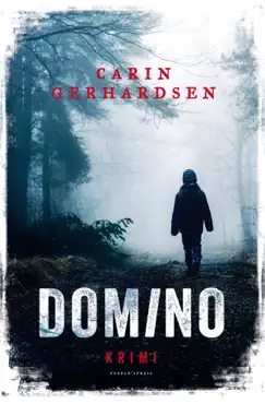 domino book cover image