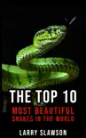 The Top 10 Most Beautiful Snakes in the World synopsis, comments