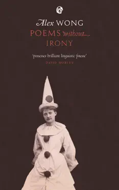 poems without irony book cover image