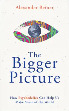 the bigger picture book cover image