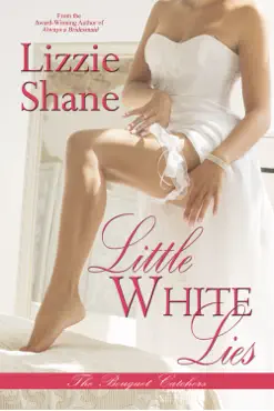 little white lies book cover image