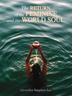 the return of the feminine and the world soul book cover image