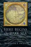 Here Begins the Dark Sea synopsis, comments