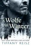 A Wolfe in Winter synopsis, comments