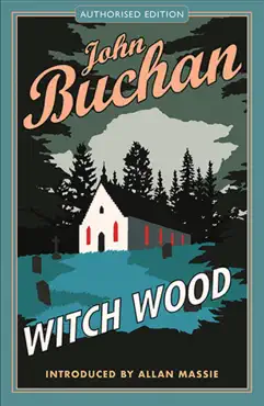 witch wood book cover image