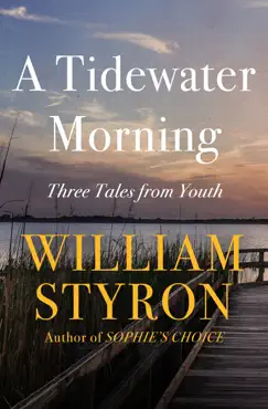 a tidewater morning book cover image