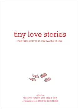 tiny love stories book cover image