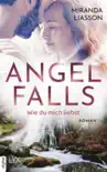 Angel Falls - Wie du mich liebst synopsis, comments