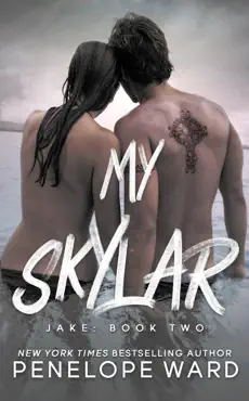 my skylar book cover image