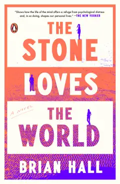 the stone loves the world book cover image