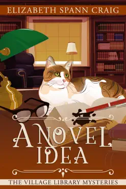 a novel idea book cover image