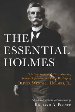 the essential holmes book cover image