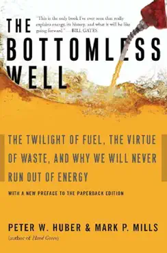 the bottomless well book cover image