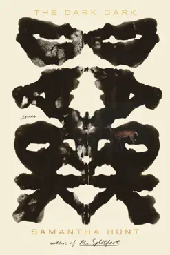 the dark dark book cover image