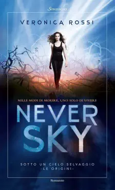never sky book cover image