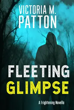 fleeting glimpse book cover image