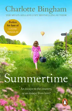 summertime book cover image