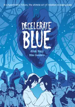 decelerate blue book cover image