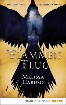flammenflug imagen de la portada del libro