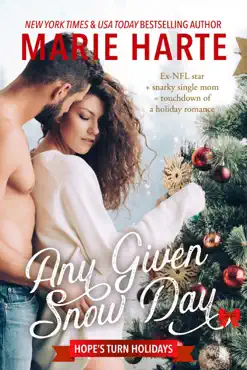 any given snow day book cover image