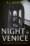 The Night in Venice sinopsis y comentarios