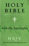 NRSV Bible with the Apocrypha synopsis, comments