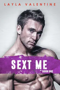 sext me book cover image
