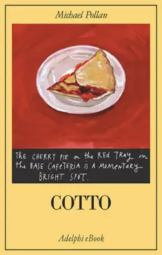 cotto book cover image
