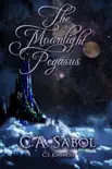 The Moonlight Pegasus synopsis, comments