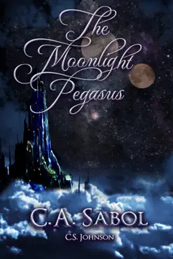 the moonlight pegasus book cover image