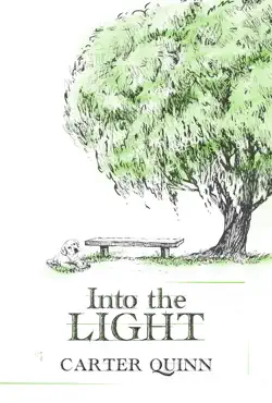 into the light (avery book 2) book cover image