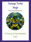 Terry the Adventurous Teenage Turtle Ninja synopsis, comments
