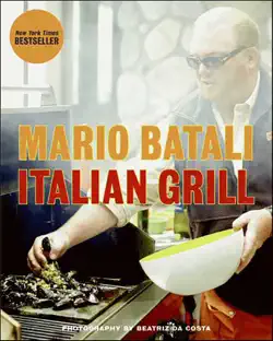 italian grill book cover image
