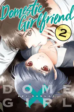 domestic girlfriend volume 2 book cover image