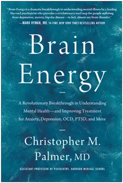 brain energy book cover image