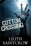 Cotton Crossing synopsis, comments