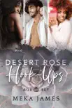 Desert Rose Station Block Party synopsis, comments
